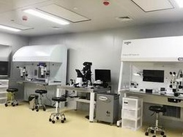 子宫腺肌症高龄做试管婴儿成功率高吗？如何提高试管婴儿成功率呢