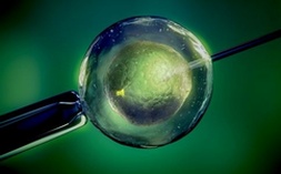 长沙2026最新试管价格清单公开，附卵子三代试管医院推荐