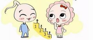 2026年做试管婴儿需多少天？