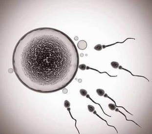 2025年拉拉在马来西亚吉隆坡做三代试管费用介绍，需要花费多