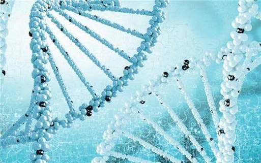 2025年在大庆去海南慈铭博鳌医院做三代试管的详细流程是怎么